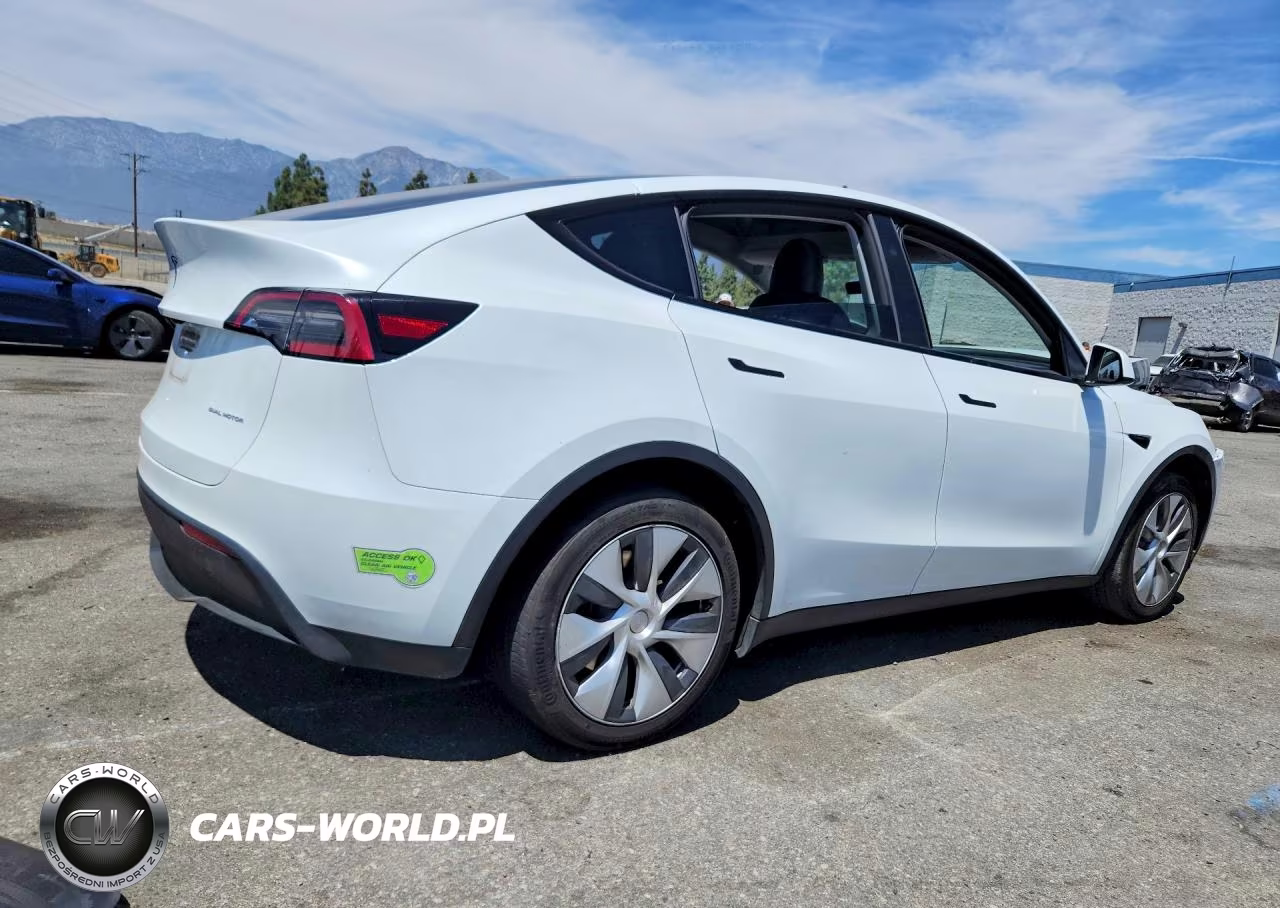 2023 Tesla Model Y VIN:7SAYGDEE9PA141235 - 3