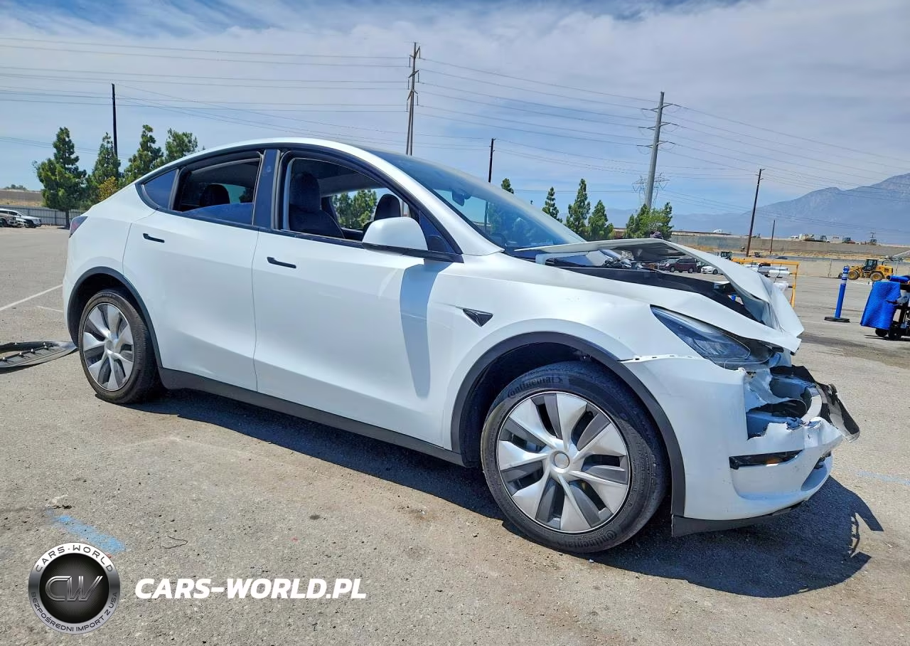 2023 Tesla Model Y VIN:7SAYGDEE9PA141235 - 4