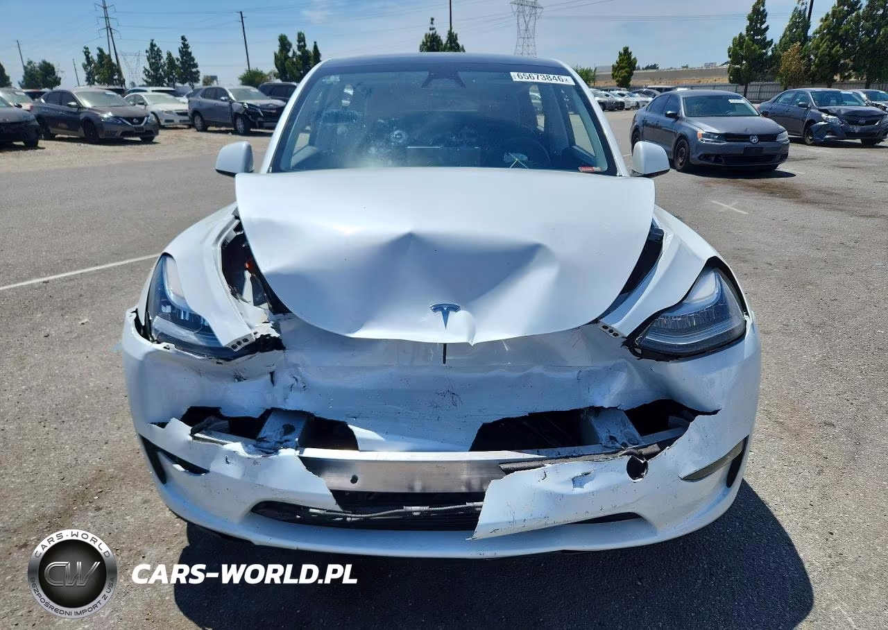 2023 Tesla Model Y VIN:7SAYGDEE9PA141235 - 5