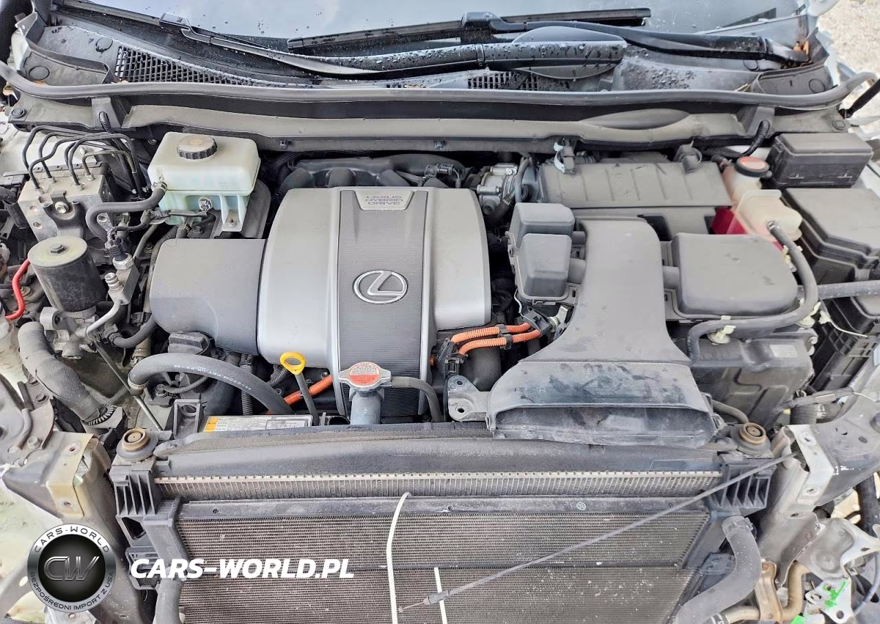 2017 Lexus Rx 450H F Sport VIN:2T2BGMCA2HC014222 - 11