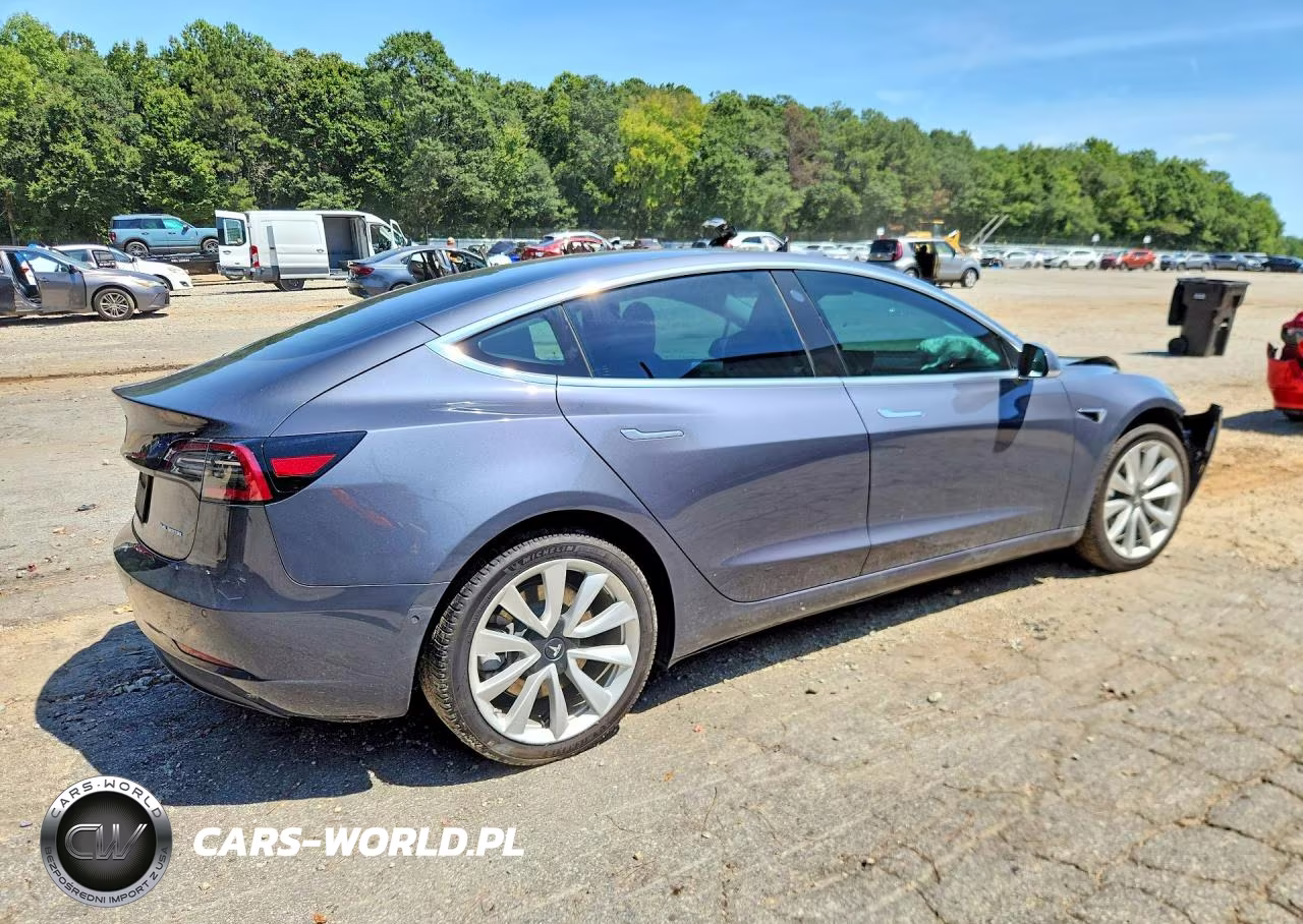 2019 Tesla Model 3 VIN:5YJ3E1EBXKF194605 - 3