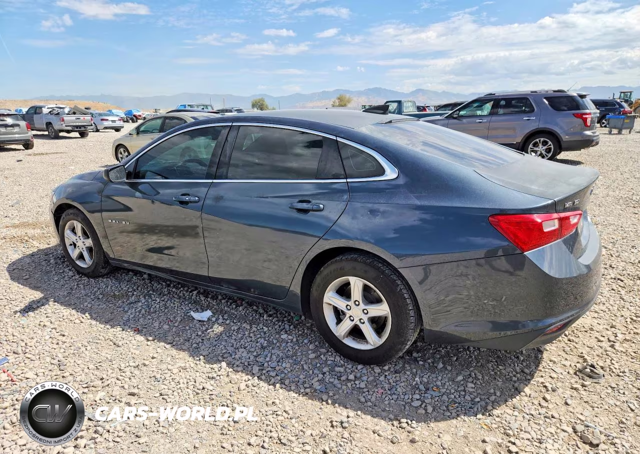2019 Chevrolet Malibu Ls VIN:1G1ZB5STXKF145559 - 2