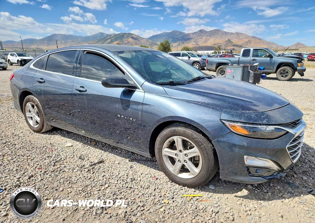 2019 Chevrolet Malibu Ls VIN:1G1ZB5STXKF145559 - 4