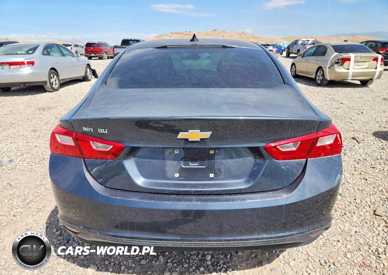 2019 Chevrolet Malibu Ls VIN:1G1ZB5STXKF145559 - 6