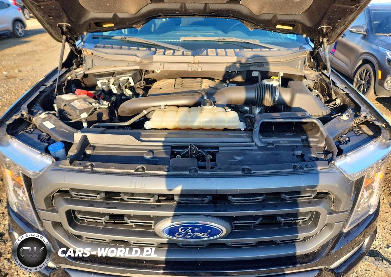2021 Ford F150 Supercrew VIN:1FTFW1E80MFB59696 - 11