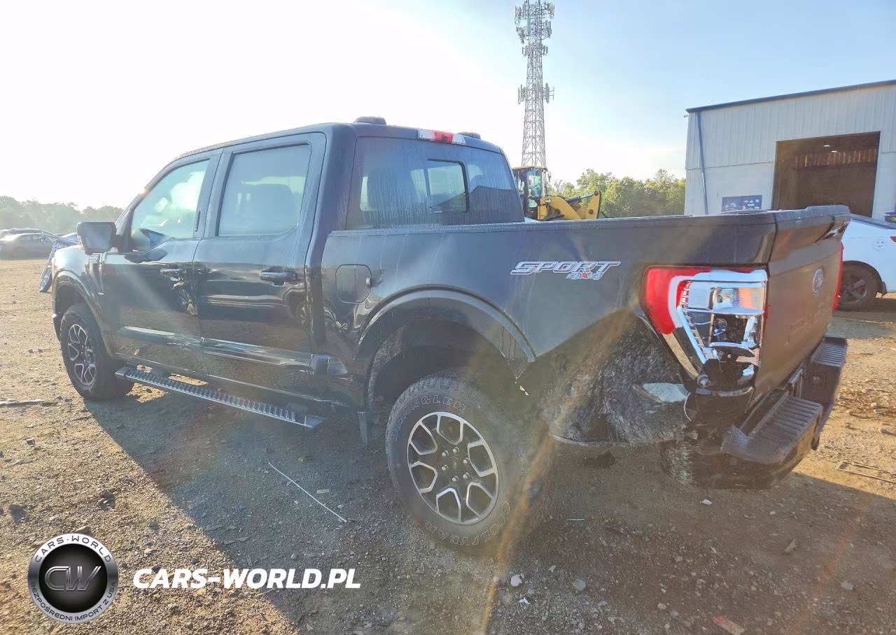 2021 Ford F150 Supercrew VIN:1FTFW1E80MFB59696 - 2