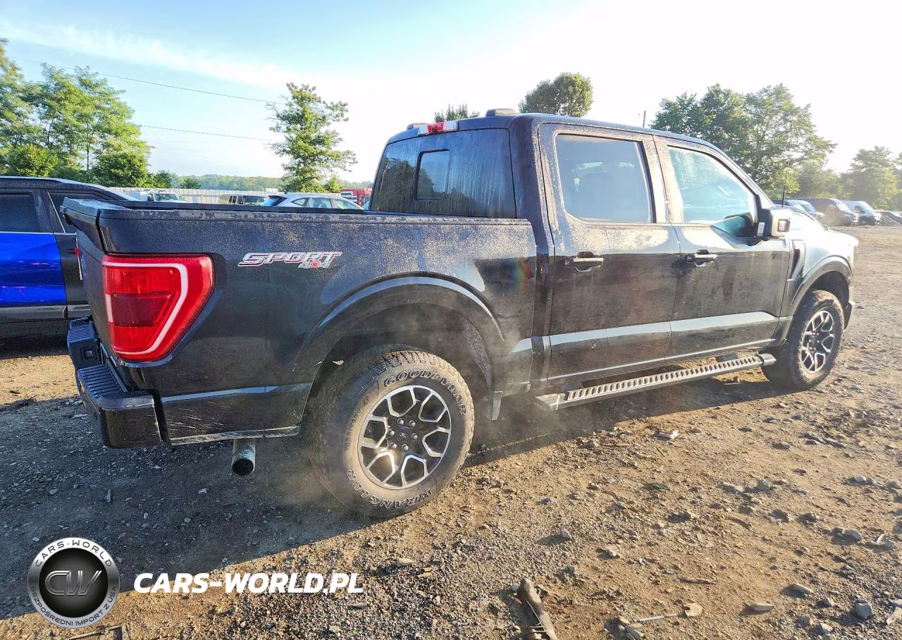 2021 Ford F150 Supercrew VIN:1FTFW1E80MFB59696 - 3