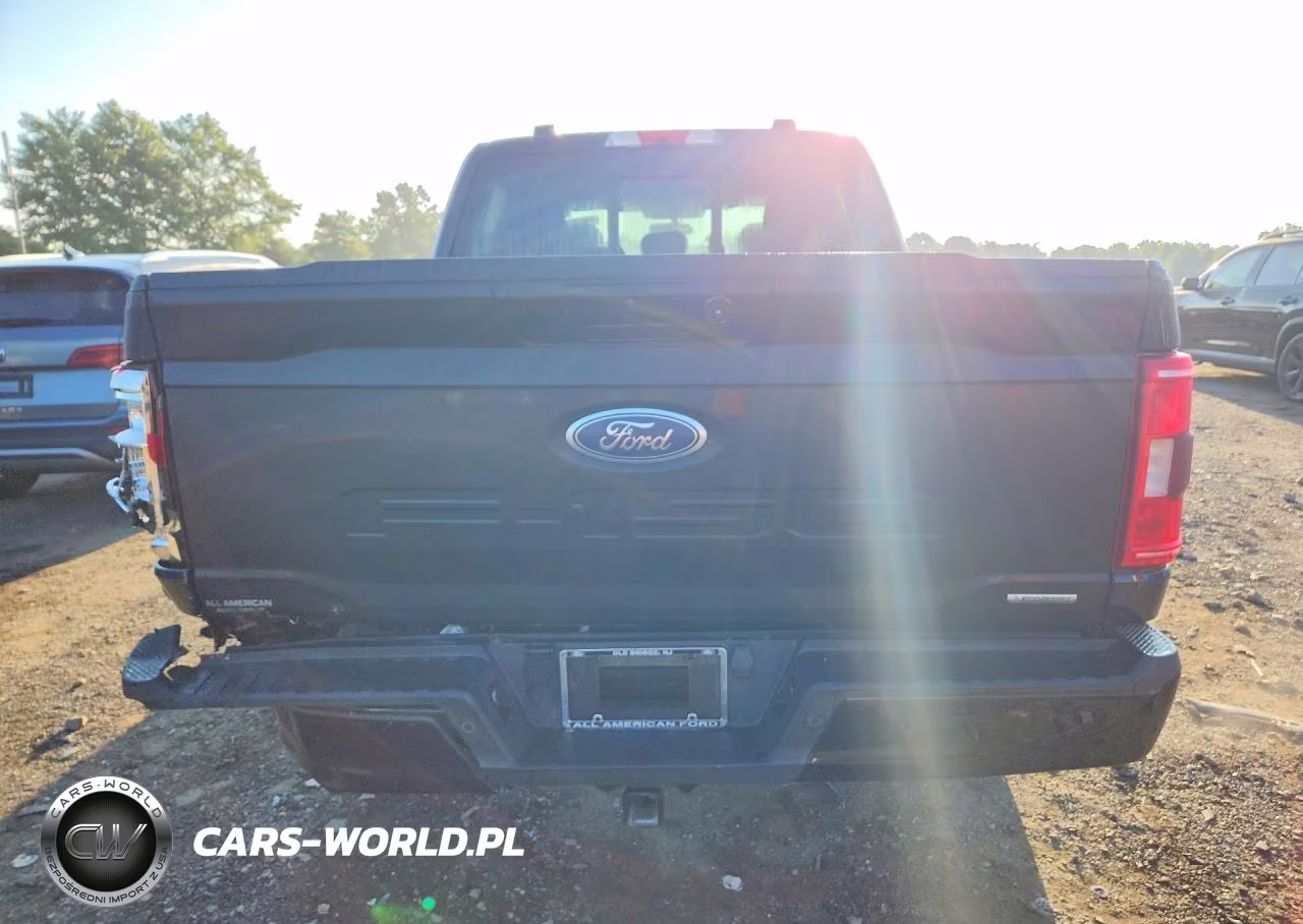 2021 Ford F150 Supercrew VIN:1FTFW1E80MFB59696 - 6