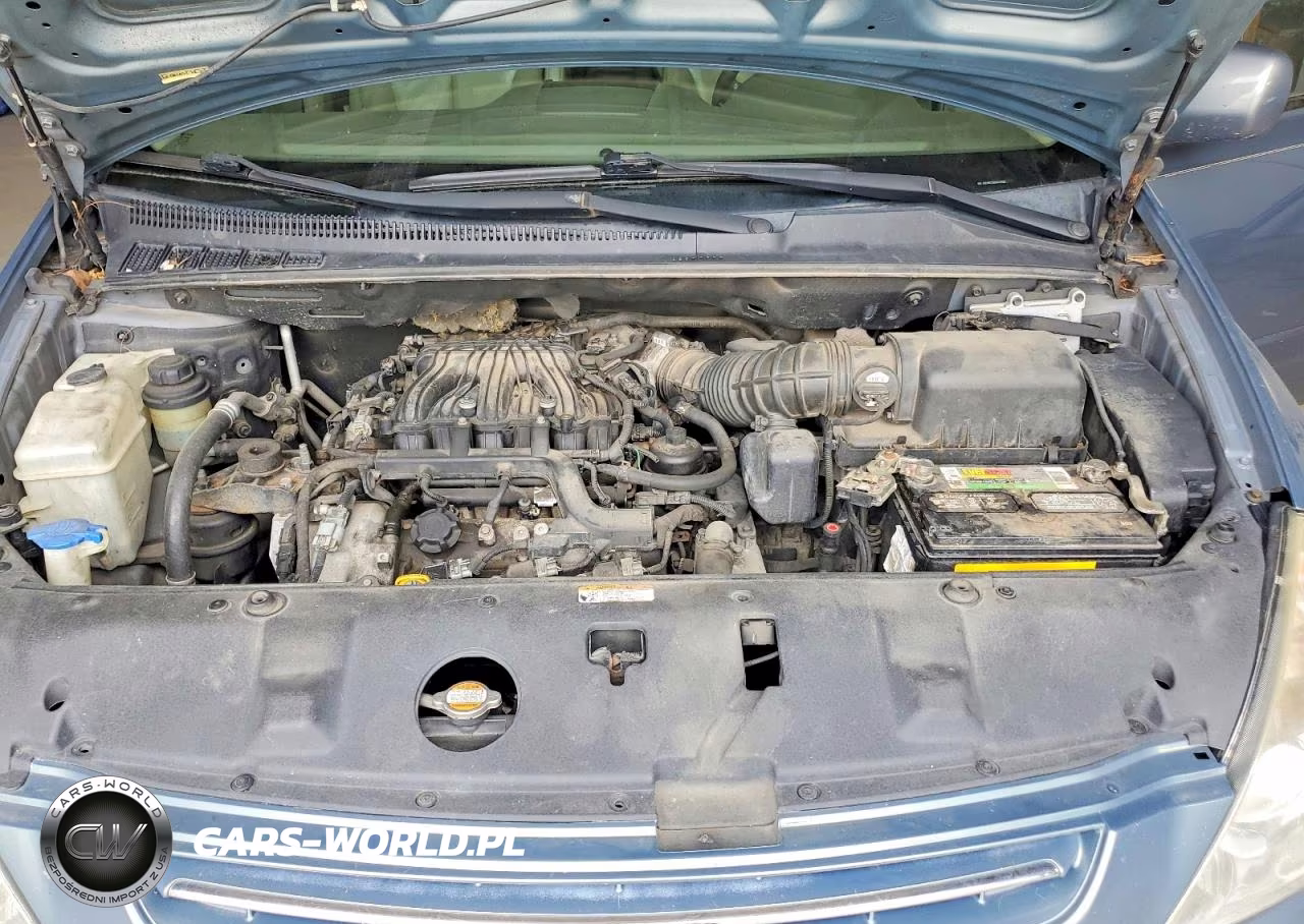 2009 Kia Sedona Lx VIN:KNDMB233896321081 - 12