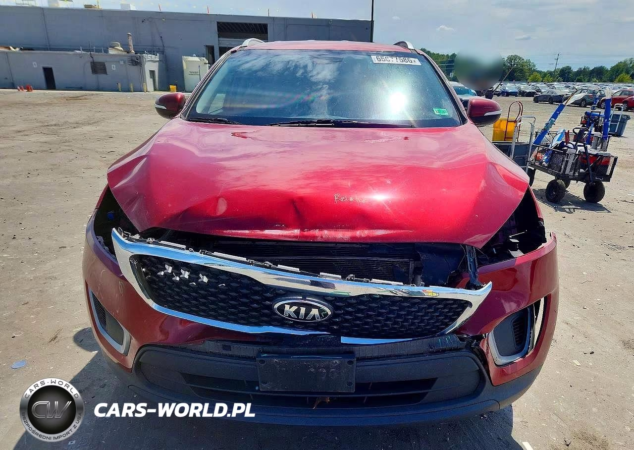 2017 Kia Sorento Lx VIN:5XYPG4A39HG270585 - 5