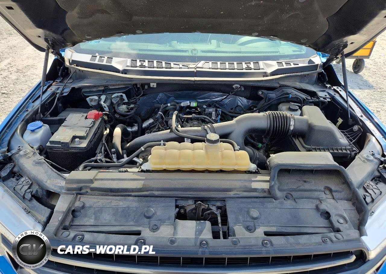 2020 Ford F150 Supercrew VIN:1FTEW1EP6LKD84424 - 11