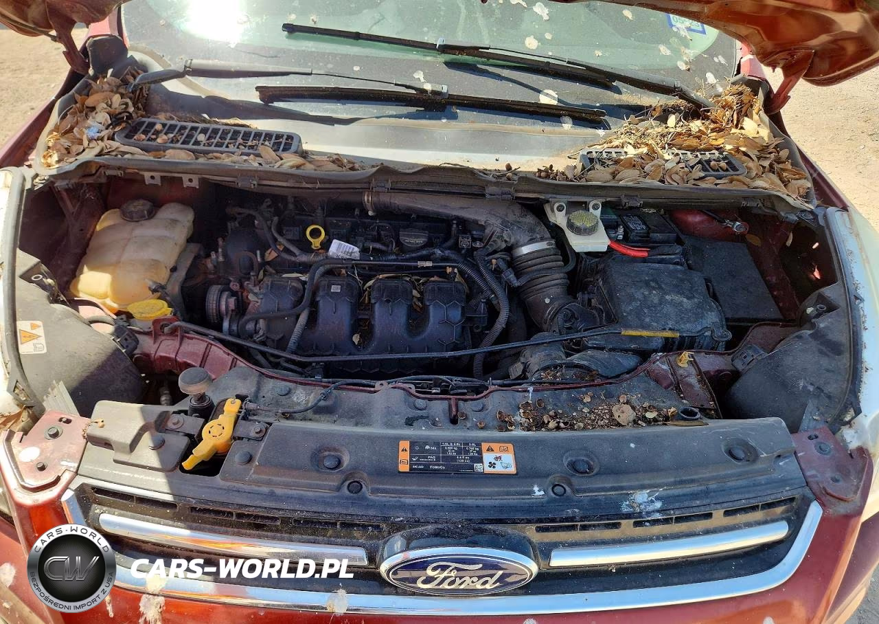 2014 Ford Escape Titanium VIN:1FMCU0J97EUB97890 - 12