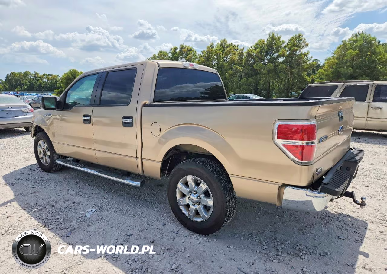 2013 Ford F150 Supercrew VIN:1FTFW1CFXDFD55663 - 2