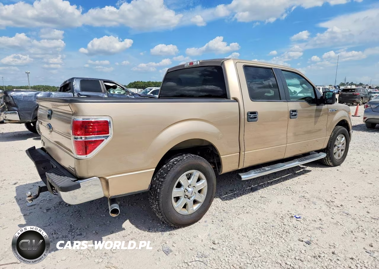 2013 Ford F150 Supercrew VIN:1FTFW1CFXDFD55663 - 3