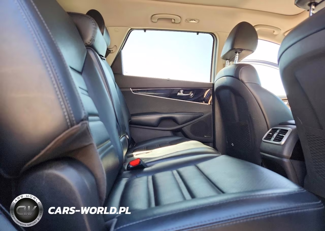 2019 Kia Sorento Ex V6 VIN:5XYPH4A53KG529979 - 11