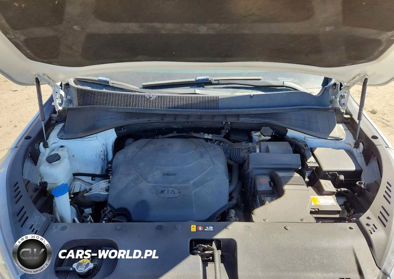 2019 Kia Sorento Ex V6 VIN:5XYPH4A53KG529979 - 12