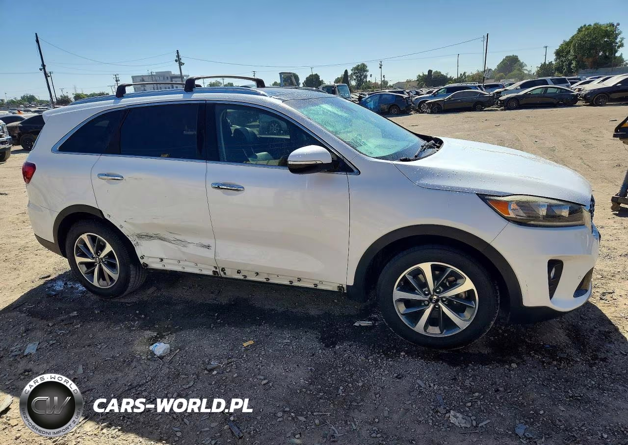 2019 Kia Sorento Ex V6 VIN:5XYPH4A53KG529979 - 4