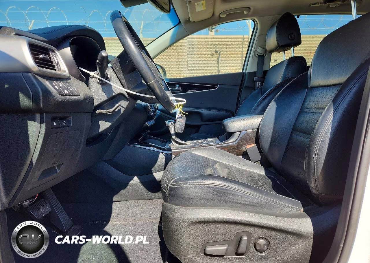 2019 Kia Sorento Ex V6 VIN:5XYPH4A53KG529979 - 7
