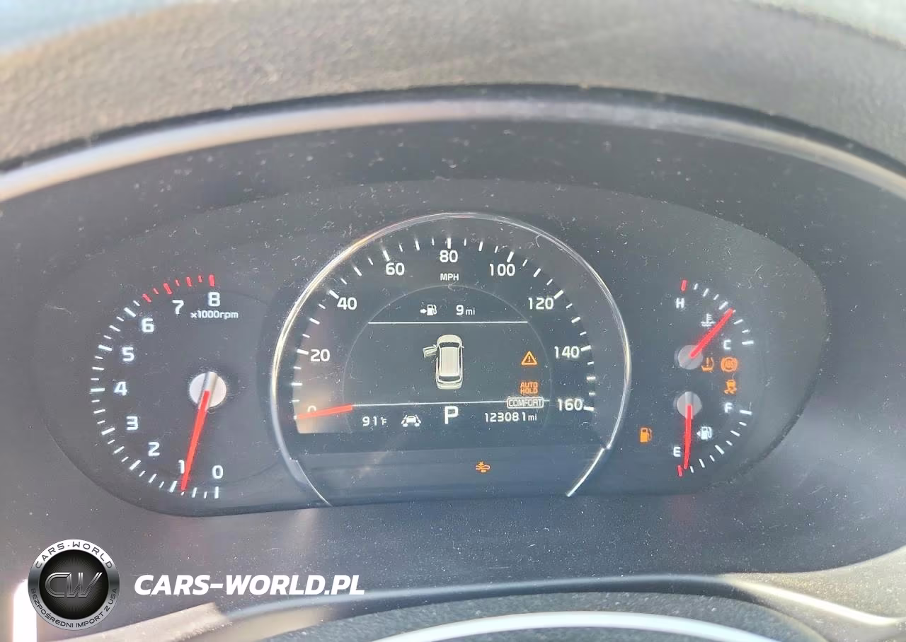 2019 Kia Sorento Ex V6 VIN:5XYPH4A53KG529979 - 9