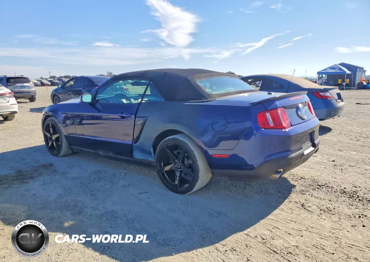 2010 Ford Mustang Gt VIN:1ZVBP8FH6A5155654 - 2