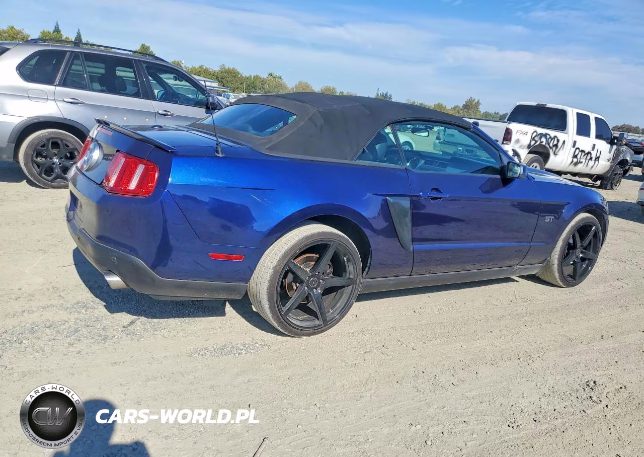 2010 Ford Mustang Gt VIN:1ZVBP8FH6A5155654 - 3