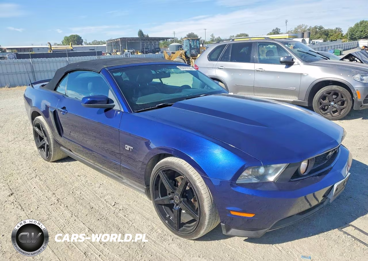 2010 Ford Mustang Gt VIN:1ZVBP8FH6A5155654 - 4