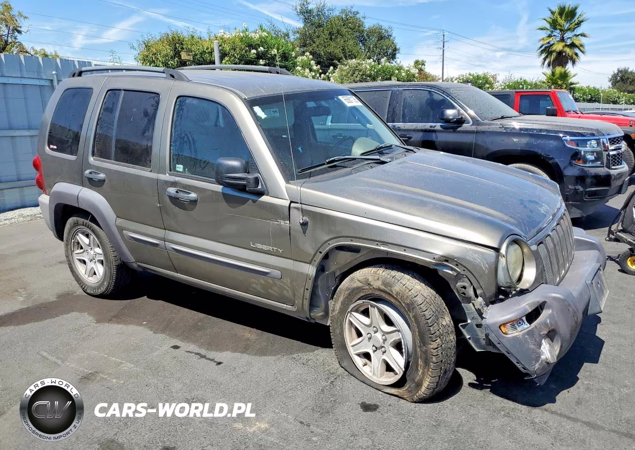 2004 Jeep Liberty Sport VIN:1J4GL48K94W322460 - 4