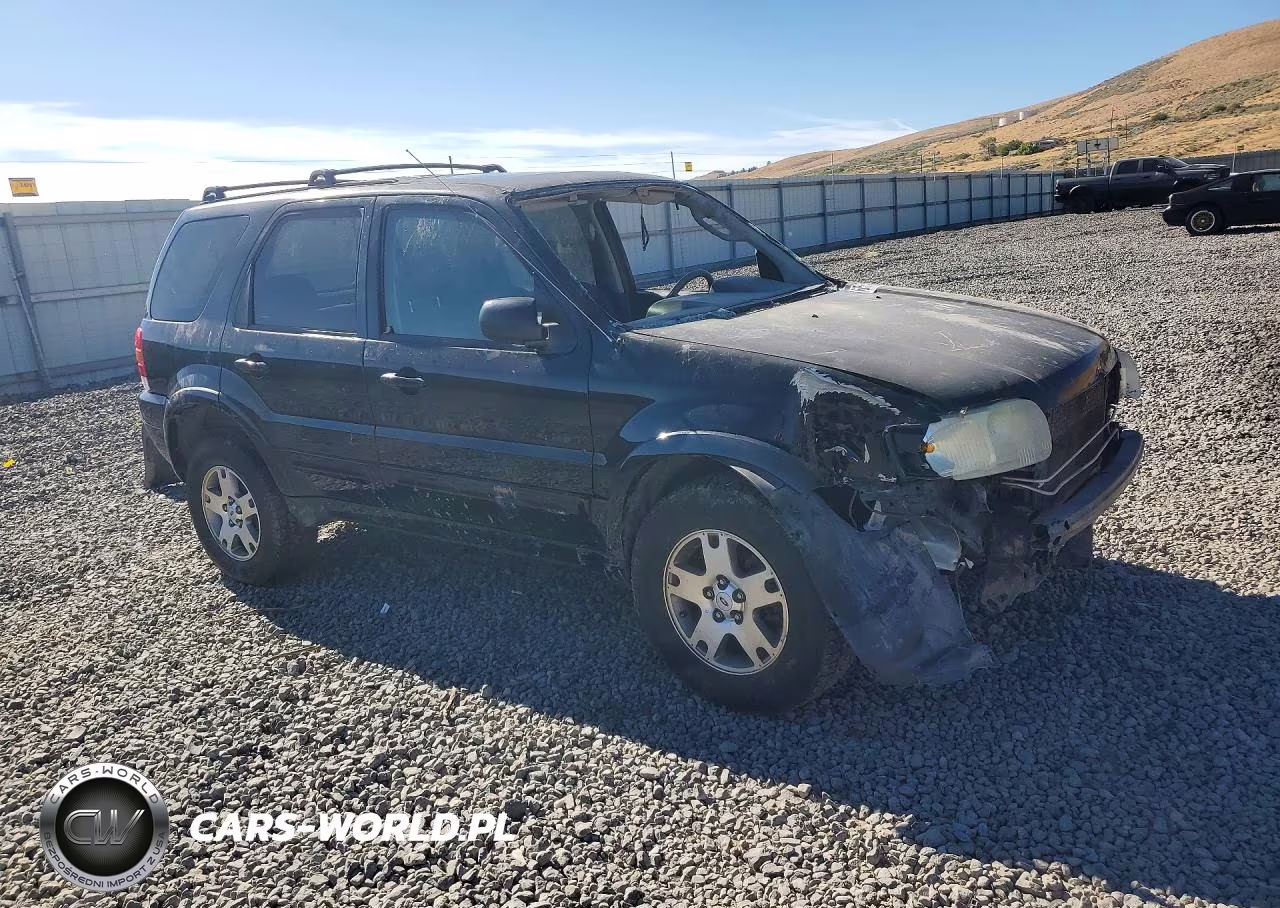2003 Ford Escape Limited VIN:1FMCU94123KE03345 - 4