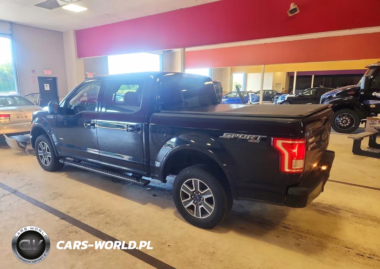 2016 Ford F150 Supercrew VIN:1FTEW1EP3GFB80162 - 2