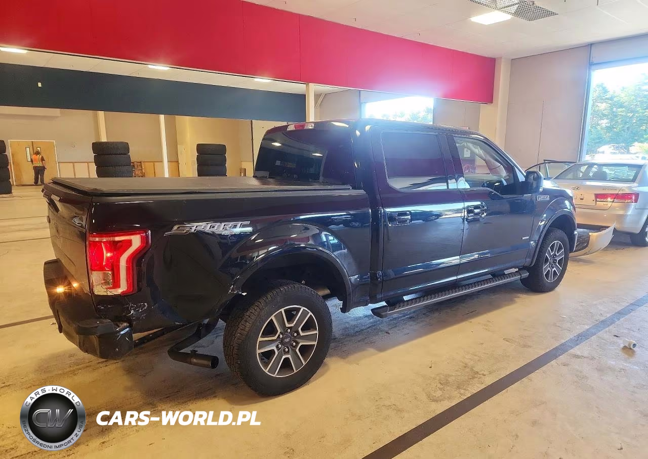 2016 Ford F150 Supercrew VIN:1FTEW1EP3GFB80162 - 3