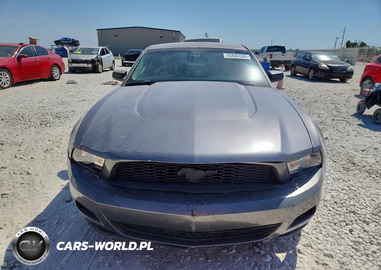 2010 Ford Mustang VIN:1ZVBP8ANXA5140331 - 5