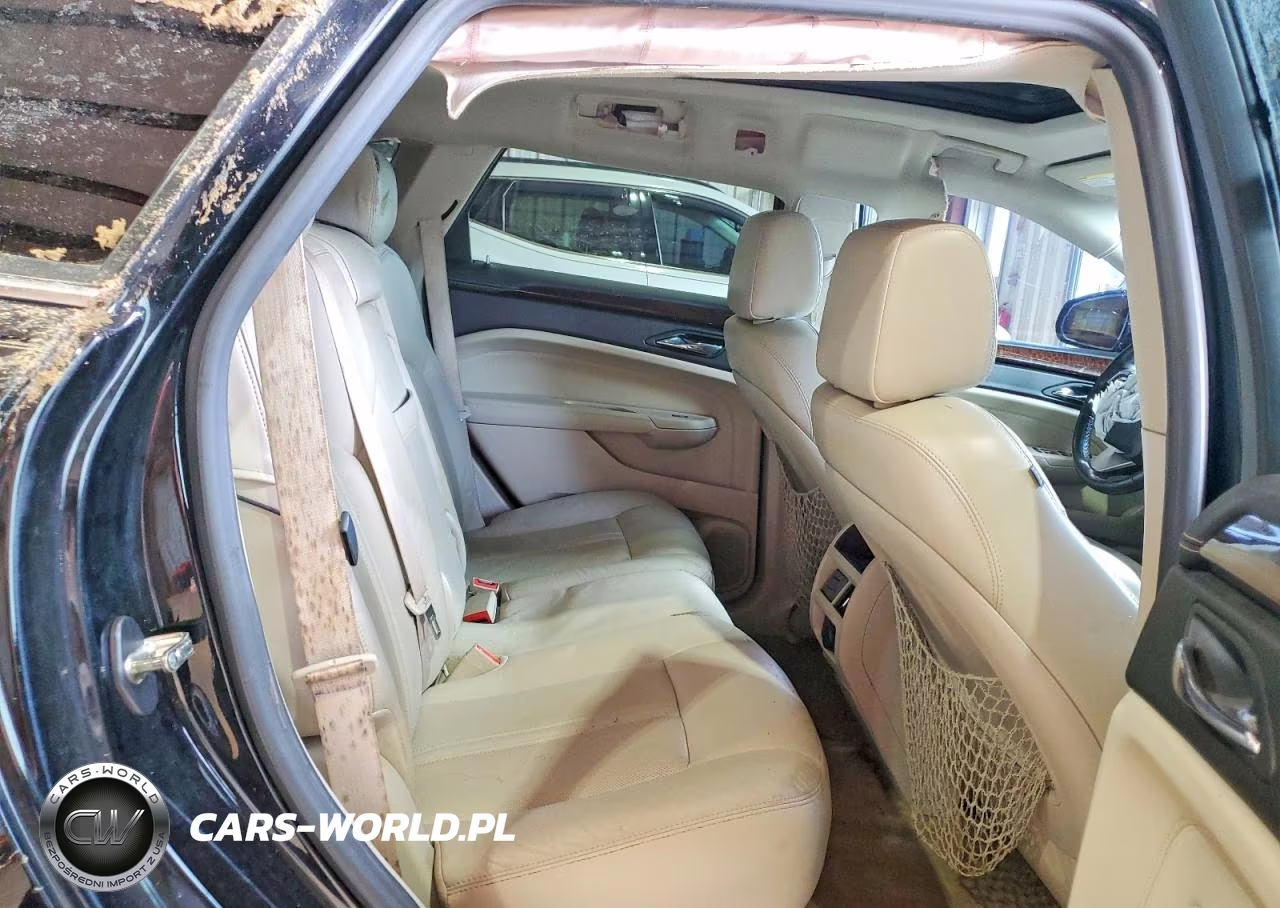 2010 Cadillac Srx Luxury Collection VIN:3GYFNAEY9AS605266 - 10