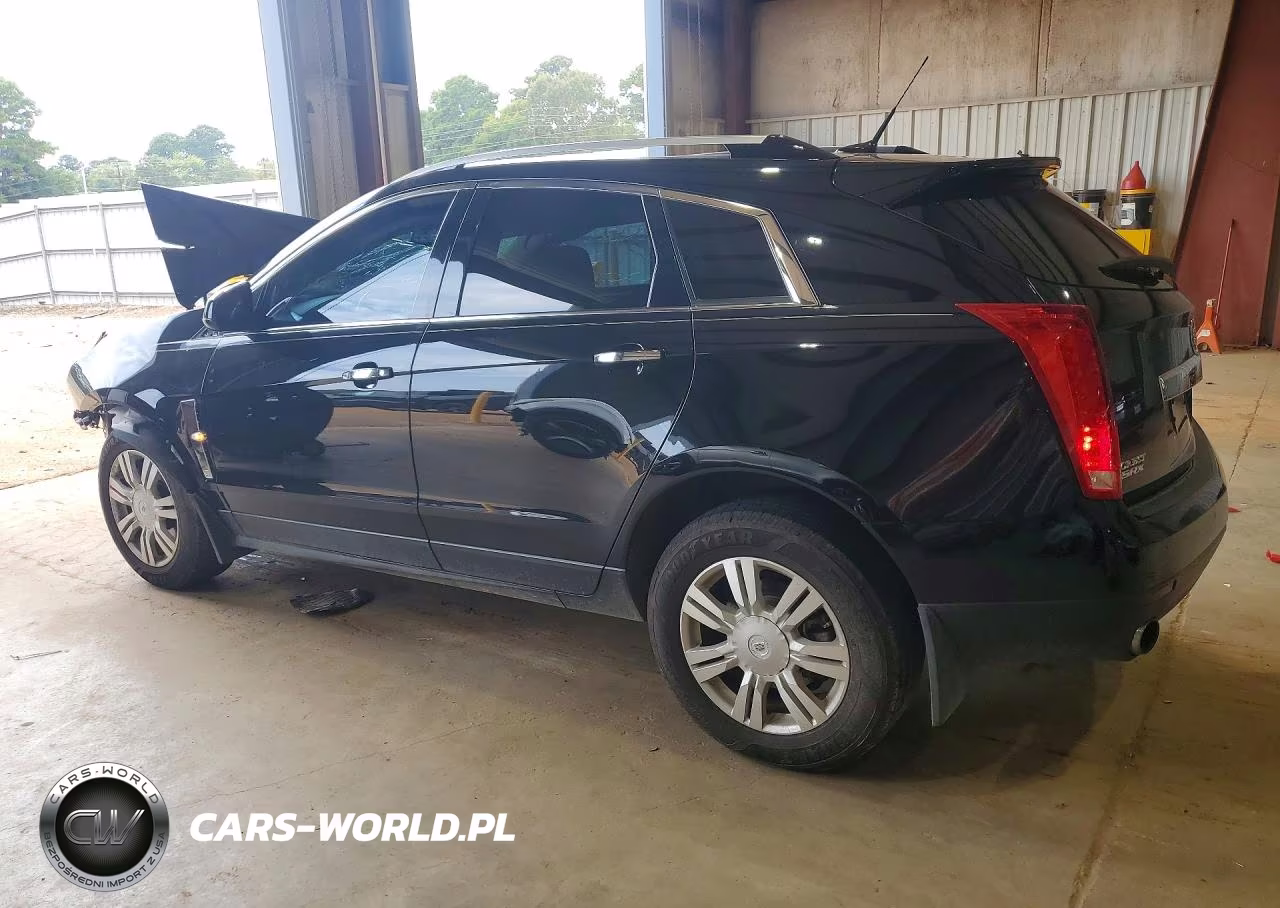 2010 Cadillac Srx Luxury Collection VIN:3GYFNAEY9AS605266 - 2