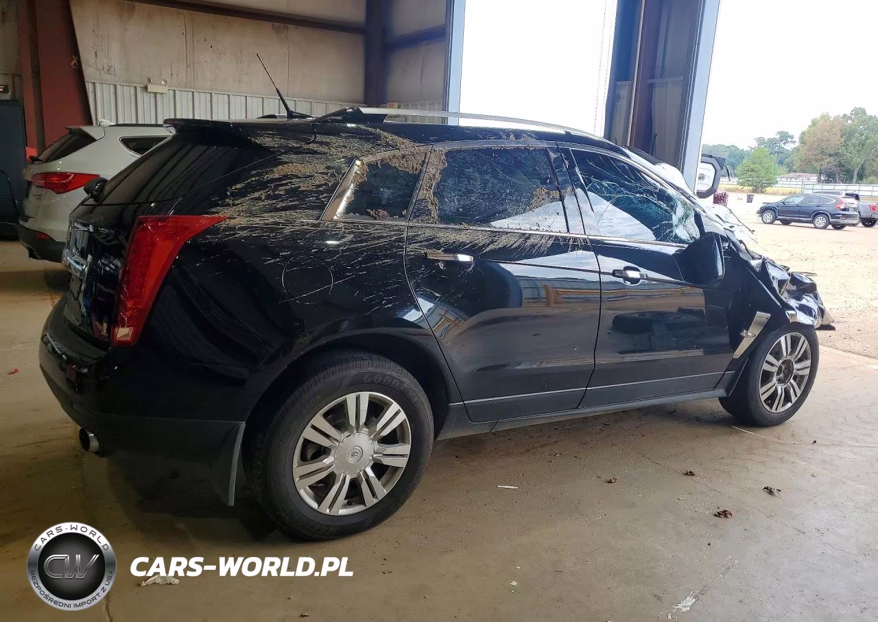 2010 Cadillac Srx Luxury Collection VIN:3GYFNAEY9AS605266 - 3