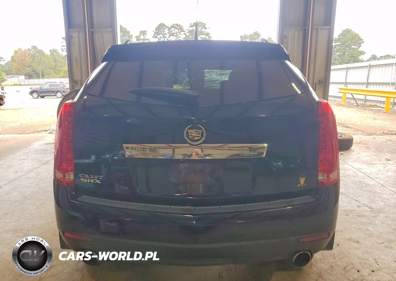 2010 Cadillac Srx Luxury Collection VIN:3GYFNAEY9AS605266 - 6