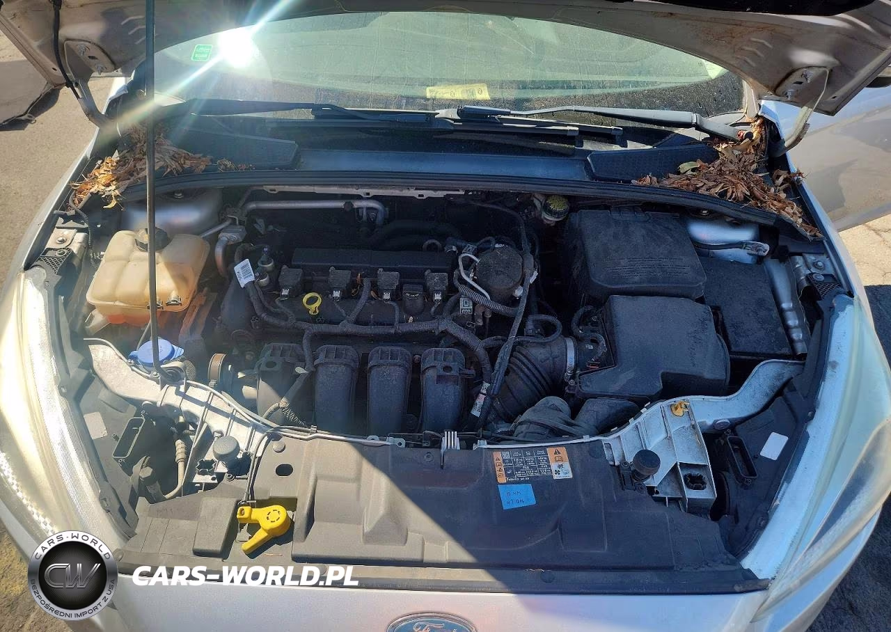 2015 Ford Focus Se VIN:1FADP3F20FL268017 - 11
