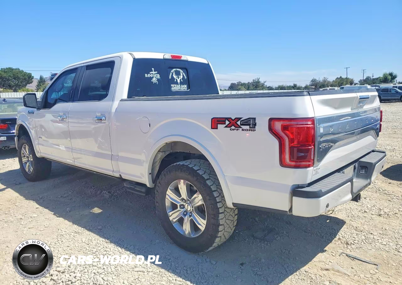 2015 Ford F-150 Platinum VIN:1FTFW1EG0FFC76575 - 2