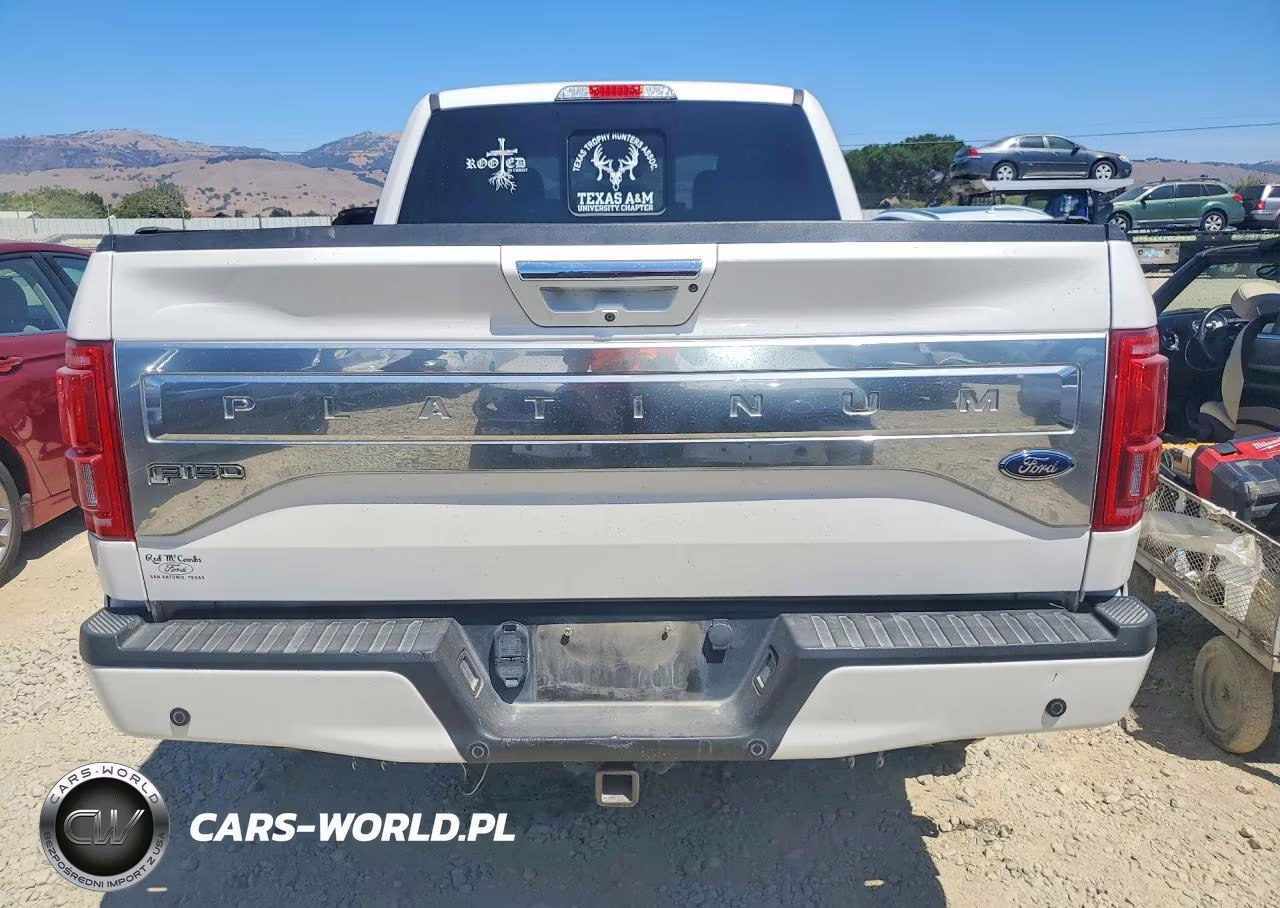 2015 Ford F-150 Platinum VIN:1FTFW1EG0FFC76575 - 6