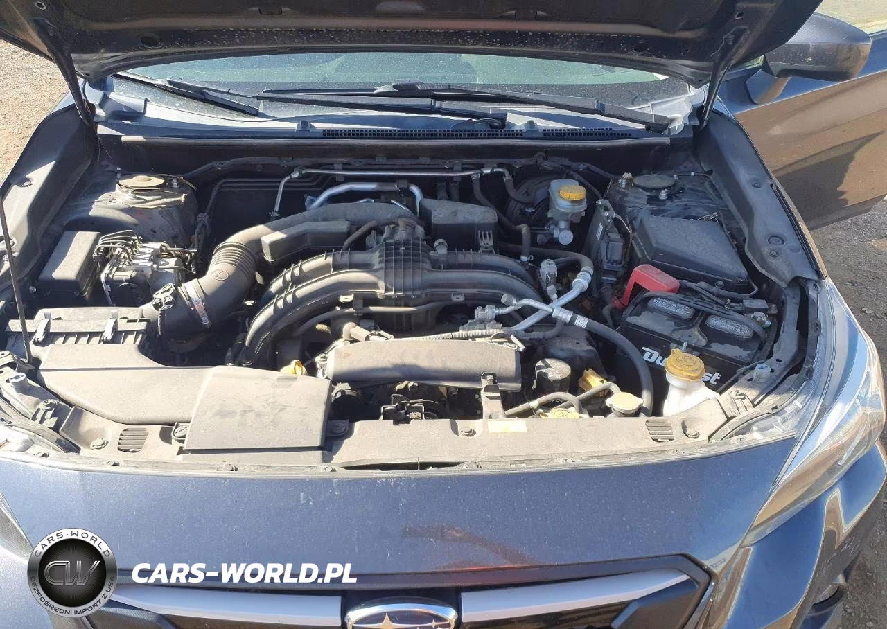 2019 Subaru Crosstrek Premium VIN:JF2GTAEC5K8270166 - 11