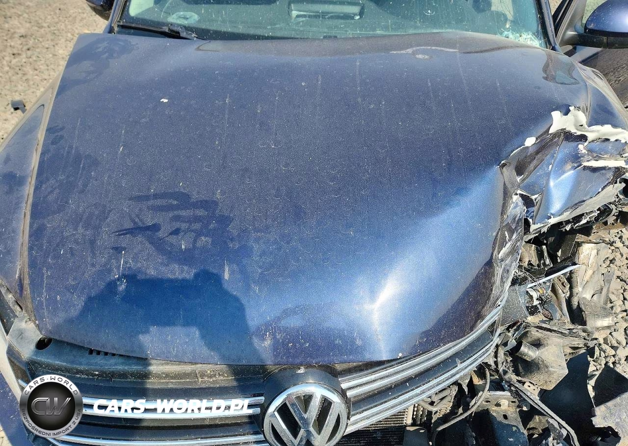 2014 Volkswagen Tiguan S VIN:WVGBV3AX3EW560540 - 12