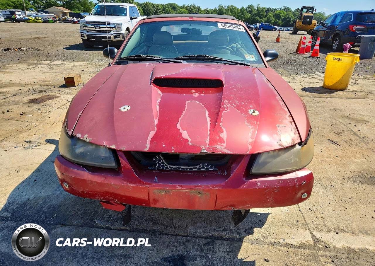 2003 Ford Mustang Gt VIN:1FAFP45X63F380696 - 5