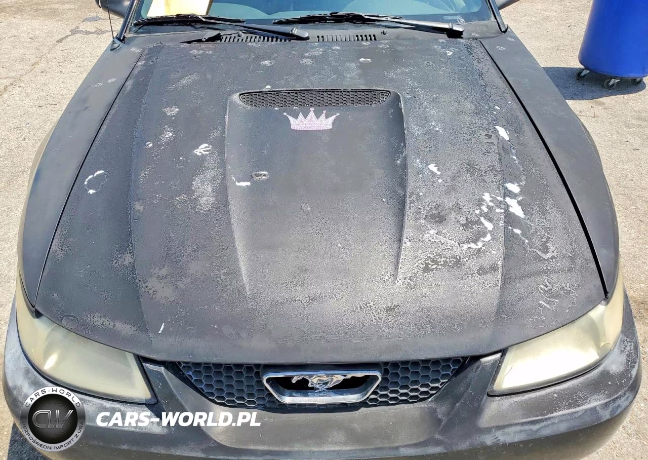 2001 Ford Mustang VIN:1FAFP44401F130813 - 11