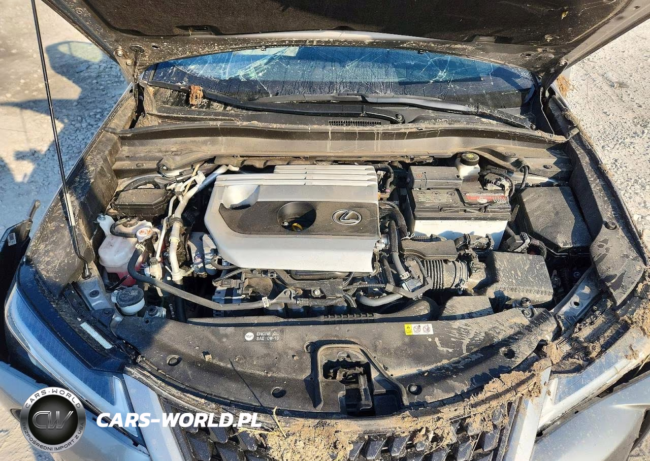 2022 Lexus Ux 200 Base VIN:JTHP3JBH2N2047748 - 12