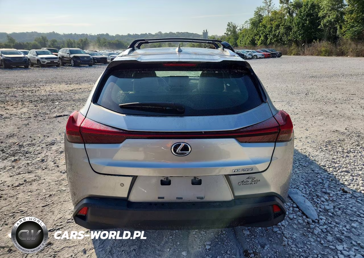 2022 Lexus Ux 200 Base VIN:JTHP3JBH2N2047748 - 6