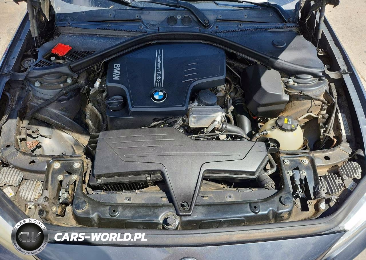 2015 BMW 228 Xi VIN:WBA1F7C52FVX95547 - 11