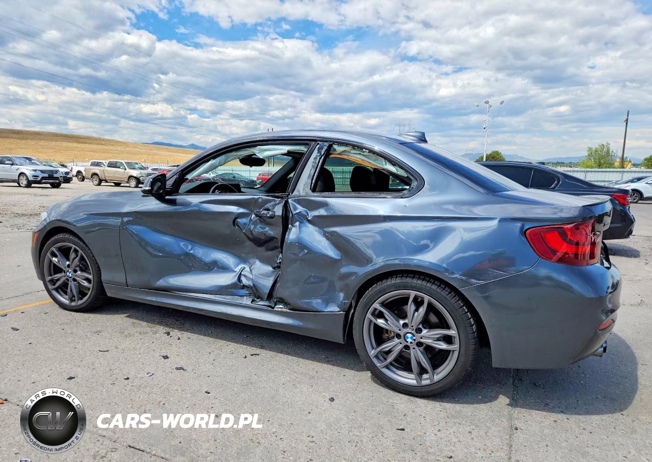 2015 BMW 228 Xi VIN:WBA1F7C52FVX95547 - 2