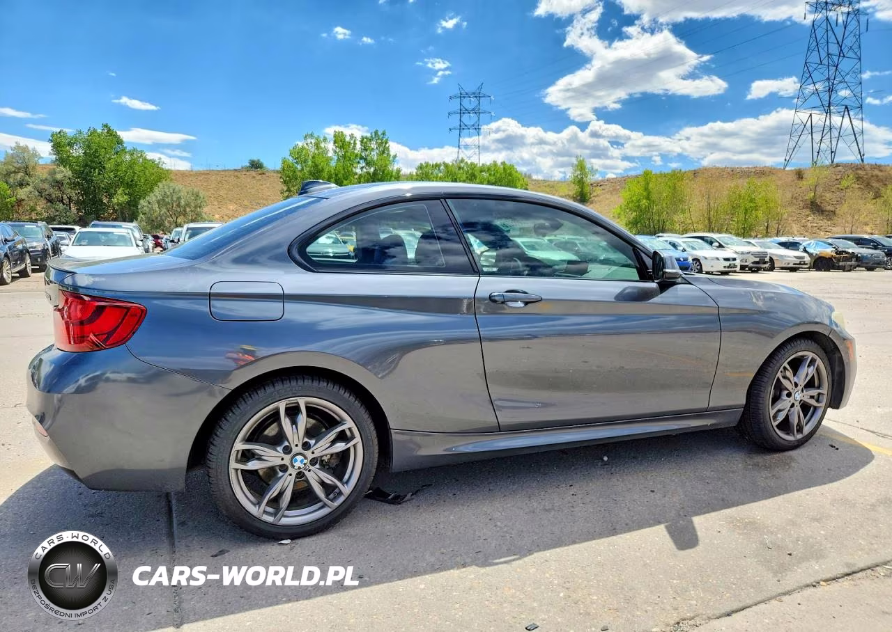 2015 BMW 228 Xi VIN:WBA1F7C52FVX95547 - 3
