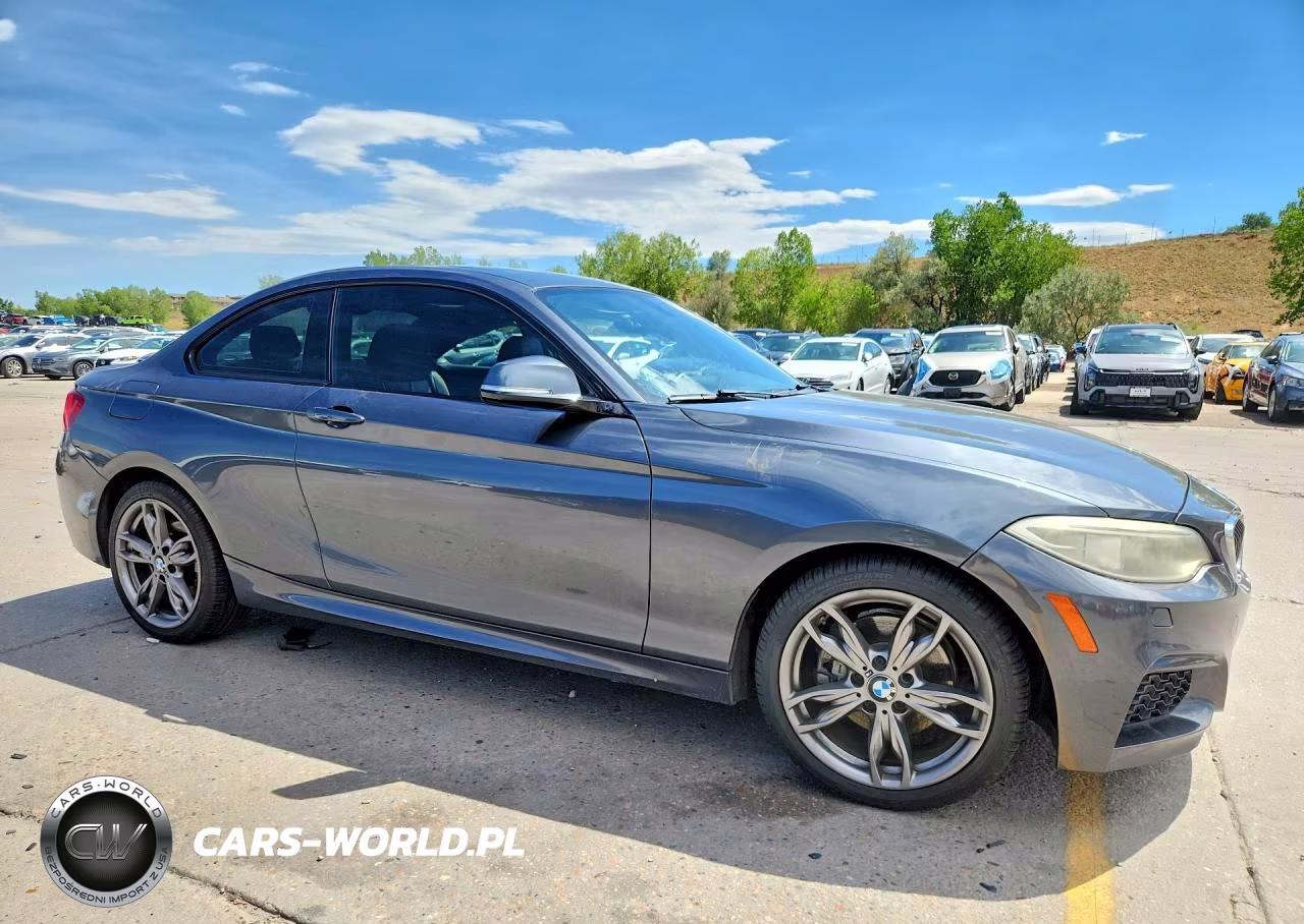 2015 BMW 228 Xi VIN:WBA1F7C52FVX95547 - 4