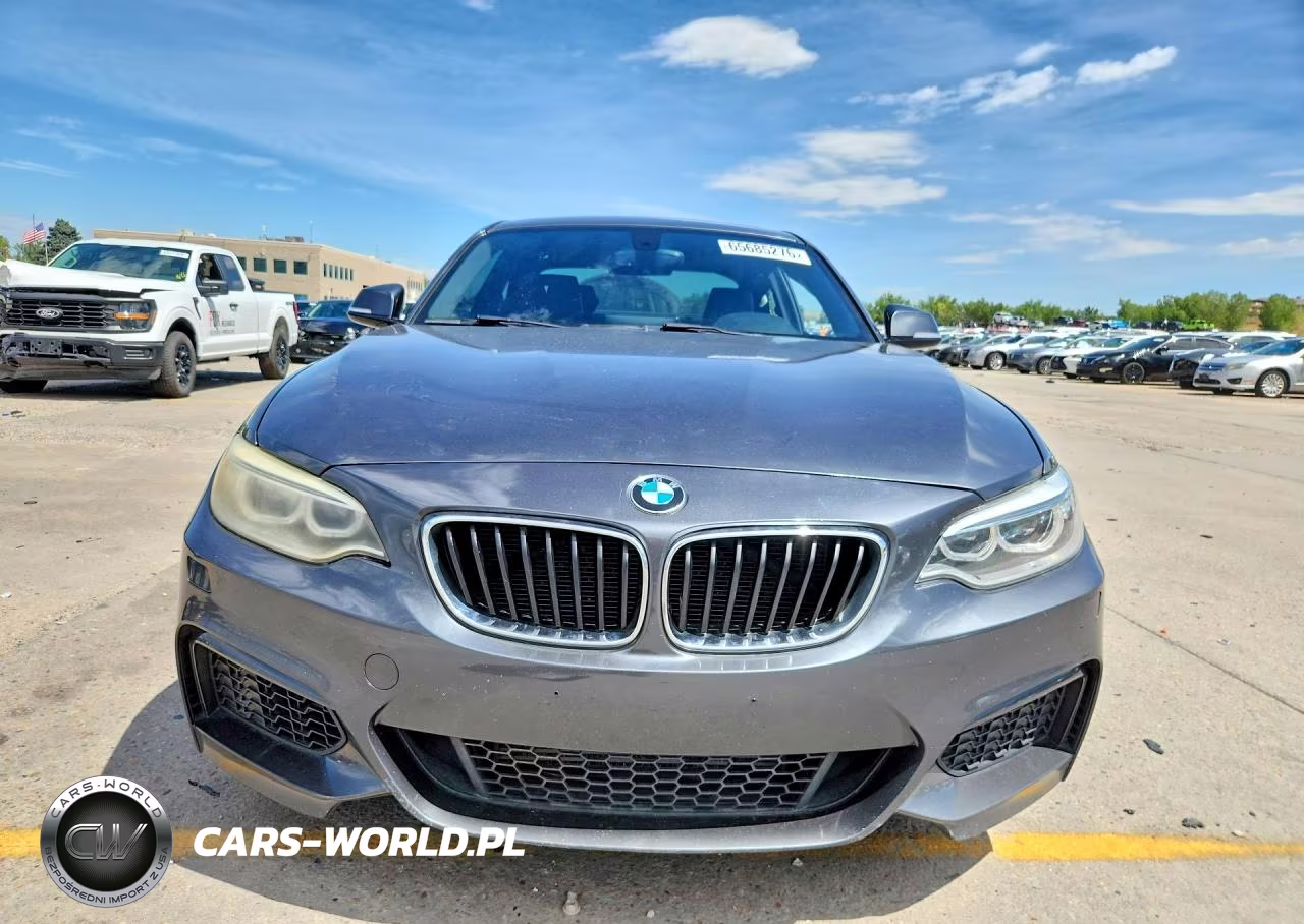 2015 BMW 228 Xi VIN:WBA1F7C52FVX95547 - 5