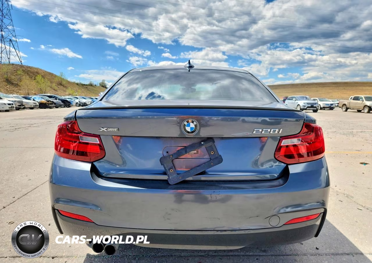 2015 BMW 228 Xi VIN:WBA1F7C52FVX95547 - 6